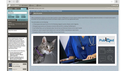 screenshot of step editor page