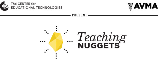 teaching nuggets logo
