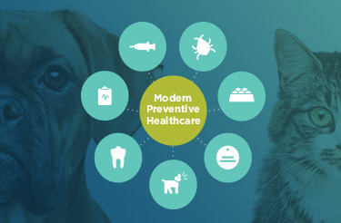modern preventative healthcare logo