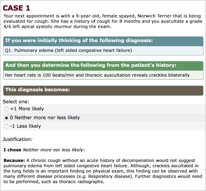 SCT assessment screen