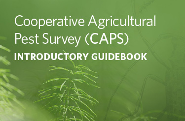 cover of CAPS guidebook