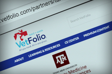 vetfolio webpage