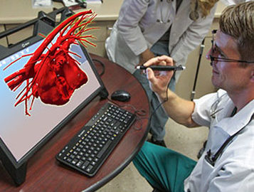 student using software to examine a 3d heart