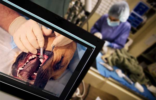 dentistry course being used in a surgical setting