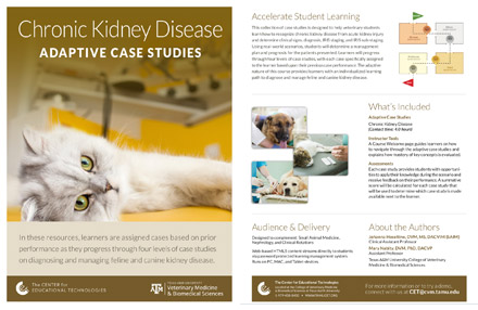 Thumbnail for Chronic Kidney Disease case studies 1-pager