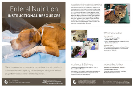 Thumbnail for Enteral Nutrition 1-pager