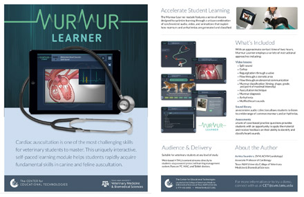 Thumbnail for Murmur Learner 1-pager