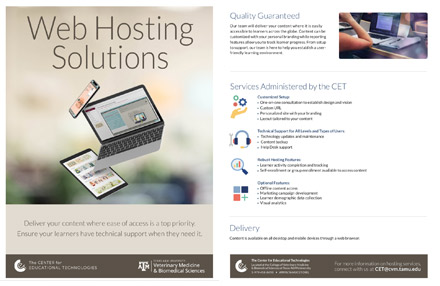 thumbnail for the hosting 1-pager