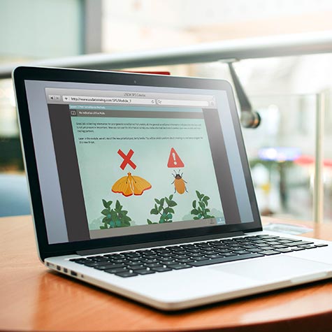research_projects laptop showing the pest identification course