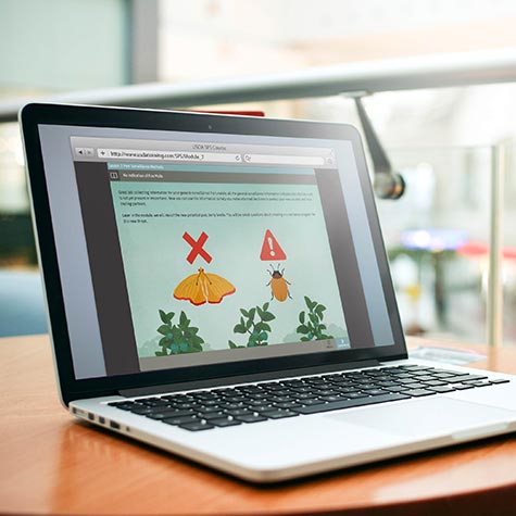 laptop showing the pest identification course