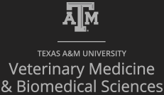 Texas A&M University Veterinary Medicine & Biomedical Sciences