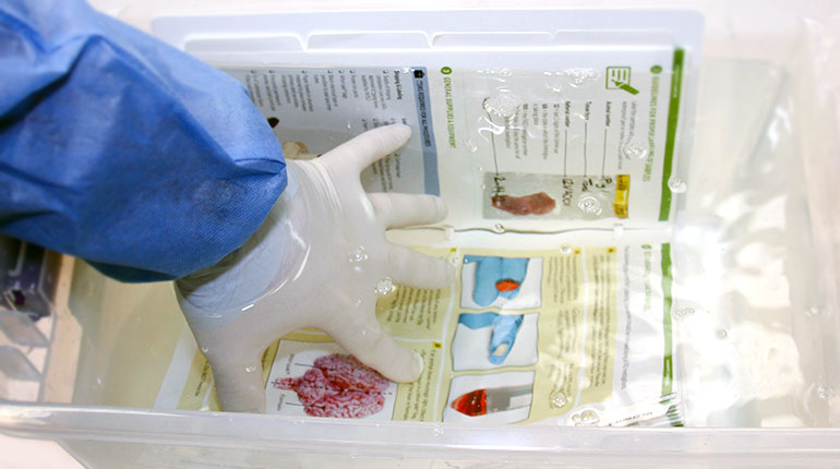 gloved hand submerging the manual to disinfect