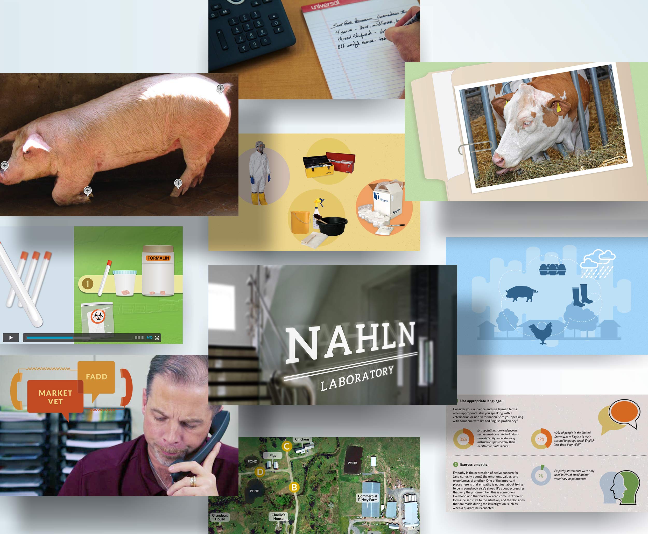 screenshots from the course showing a pig, veterinarian on the phone, a cow, an NAHLN Laboratory sign, and a map of a farm