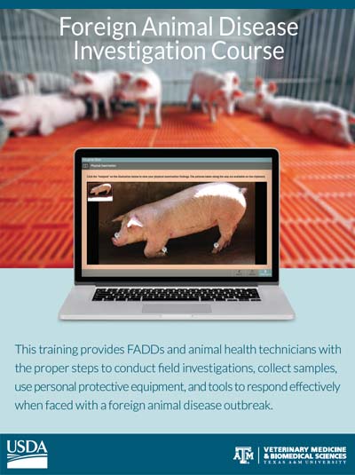 A laptop showing a pig exam