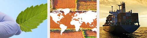 images depicting global trade including crop fields, a world map, and shipping containers