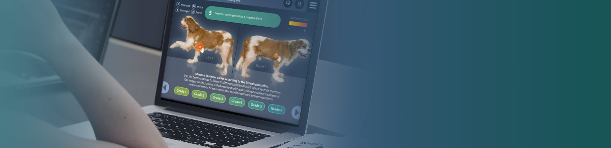 A student views a veterinary learning app on a laptop