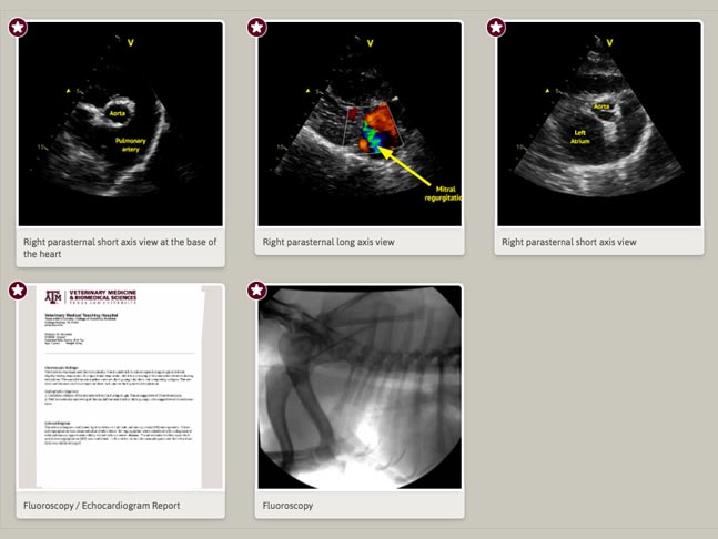 screenshot of the clipboard feature of the Stepstone player where documents and photos can be stored and retrieved