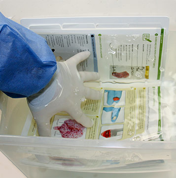 gloved hand soaking the FADPrep manual in a container of water