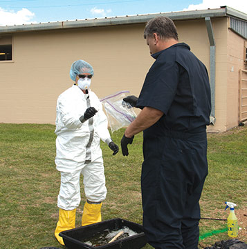 frame from a video about doffing PPE with assistance. person in pull PPE is handing a person in coveralls a ziplock bag