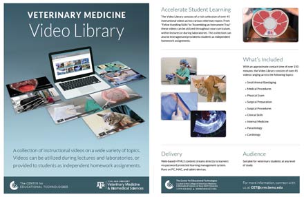 thumbnail for video library infosheet