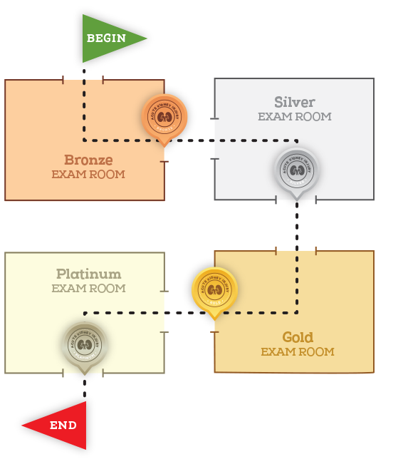 Diagram showing 4 levels of case studies progressing in difficulty