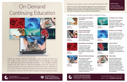 thumbnail for cped infosheet pdf
