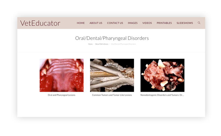 Screenshot of the Dental collection on the VetEducator website.