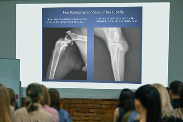 Bone Pathology Library Launch