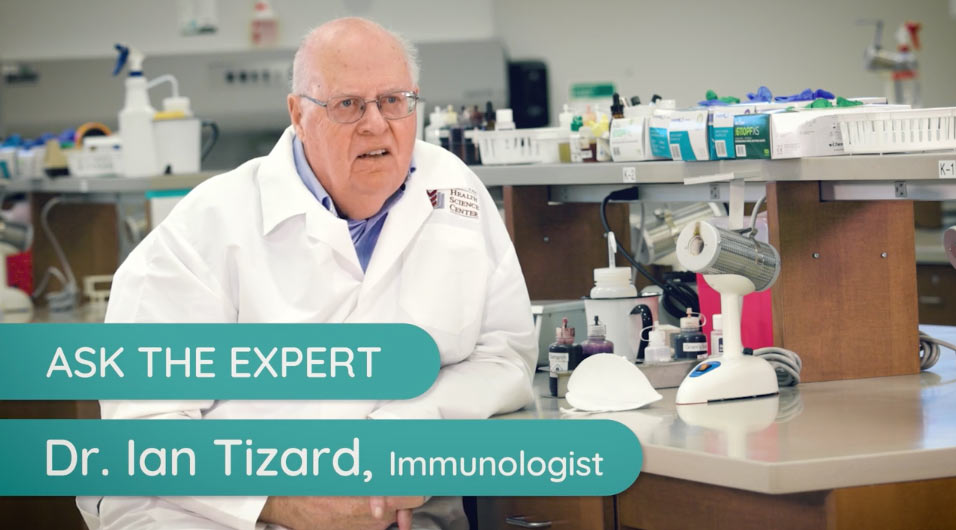 Ask the Expert: Dr. Ian Tizard video title