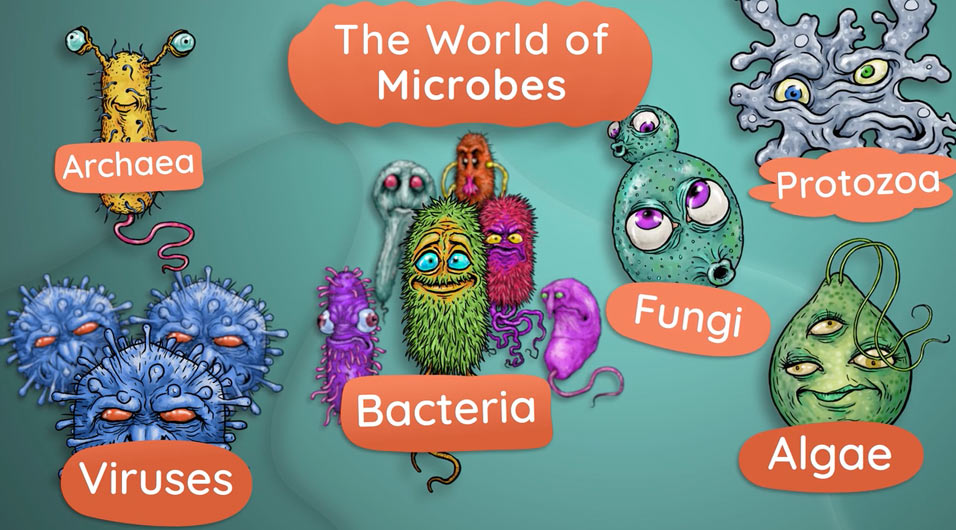 The world of microbes video title