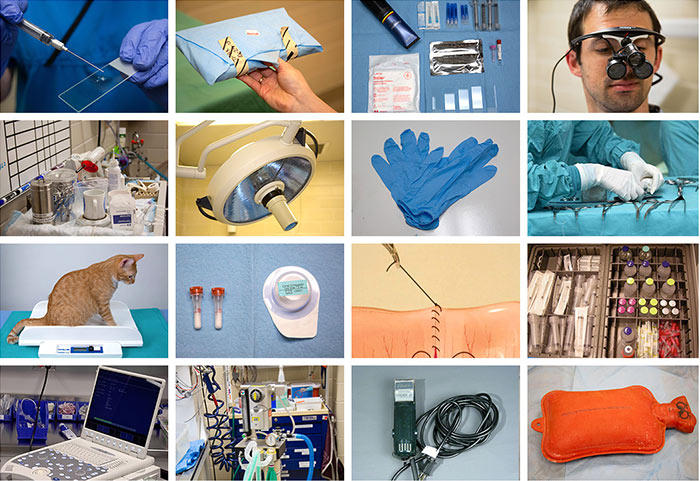 a variety of veterinary medicine images in a grid showing surgical equipment