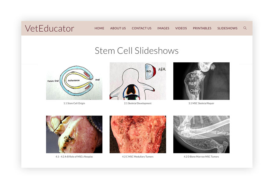 screen shot of the Stem Cell page on VetEducator