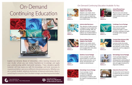 thumbnail version of the CPED infosheet PDF