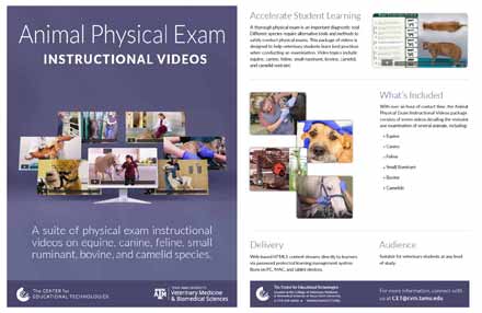 animal_exam_1pager