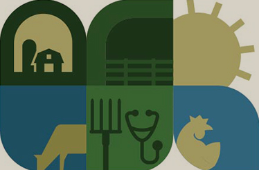 illustration of agricultural elements
