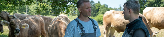 livestock farmer and vet with cattle