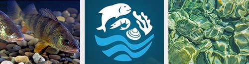 AH Aquahealth