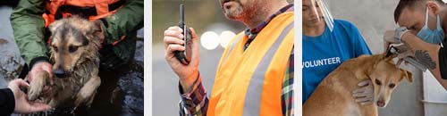 be a local hero course images