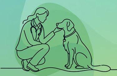 Companion Animal Decision-Making cases illustration of vet petting dog
