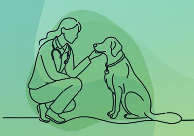 Companion Animal course