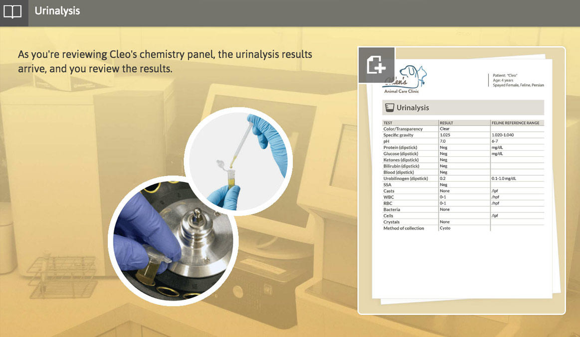 urinalysis screen