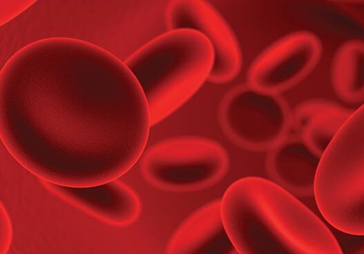 red blood cells