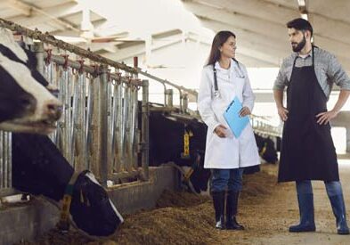 vet and dairy farmer speak in a barn. cows in the background.